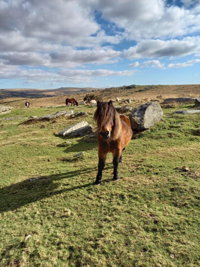Dartmoor Inn Princetown Luaran gambar